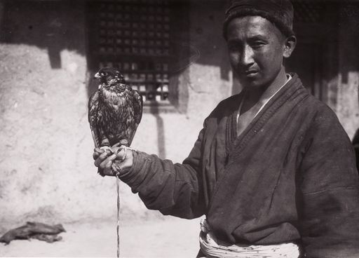 B1588: Beizjäger mit Habicht (Falke?) (Turfan_III_35_B_1588_Maqsus_Sohn.jpg)