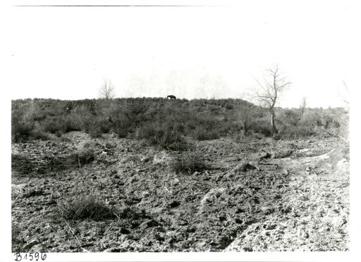 B1596: Steppenartige Landschaft (B_1596_pos.jpg)