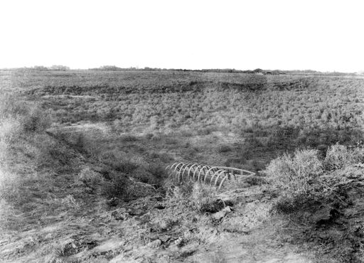 B1598: Blick über flache Landschaft zu Bauernhaus unter Bäumen in der Ferne und Ruinen (?) (B_1598_Topa_Shahri.jpg)