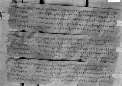 B 1669: Drei Blatt einer Papierhandschrift einer Sanskrit- Tocharischen Bilingue geschrieben in Khotan Brāhmī