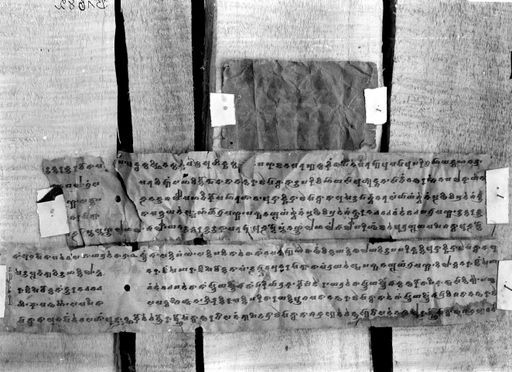B 1682: Zwei Blatt einer Brāhmī Handschrift (Māndhātṛ-Avadāna)