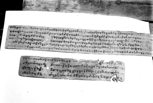 B 1725: Zwei Blätter aus Handschrift, oben: Sanskrit Mahāyāna-Text ; unten: Khotansakisch Brāhmī-Handschrift Fol 51 verso Book of Zambarta,