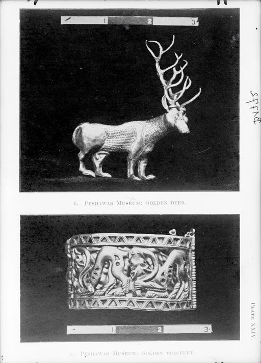 B 1772: Zwei Objekte als Vergleichsstücke: Goldener Hirsch und goldenes Armband mit Hirschdarstellungen, Reproduktionen des Peshavar Museums (Plate XXIV)