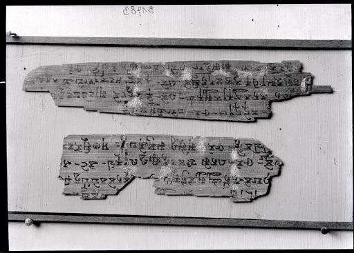 B1783: Zwei Fragmente in Brāhmī-Schrift in einem Rahmen (B_1783.jpg)