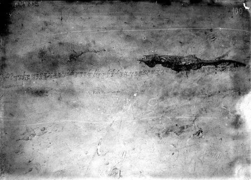 B 1879: Kharoṣṭhī Inschrift in Tinte/dunkler Farbe, lt Beischrift: auf linkem Teil der Hinterwand der 'Kleinen Höhle'