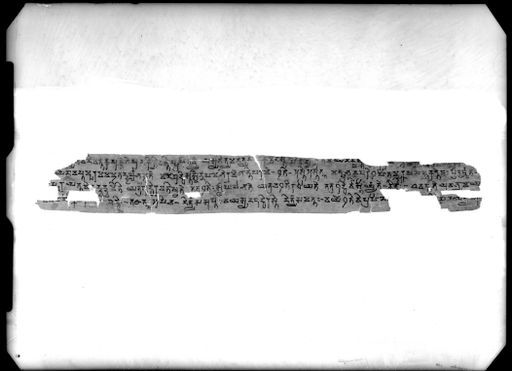 B 2713: Text in Brāhmī-Schrift