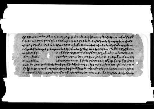 B 2714: Text in Brāhmī-Schrift