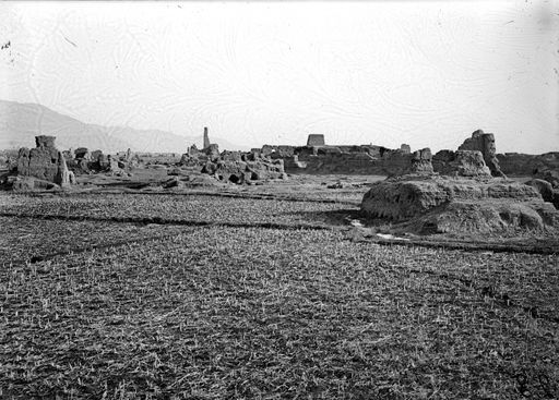 B 3009: Khans Palast E mit seinen Mauern und Pfeiler-Stūpa D, Blick von NW und ξ aus