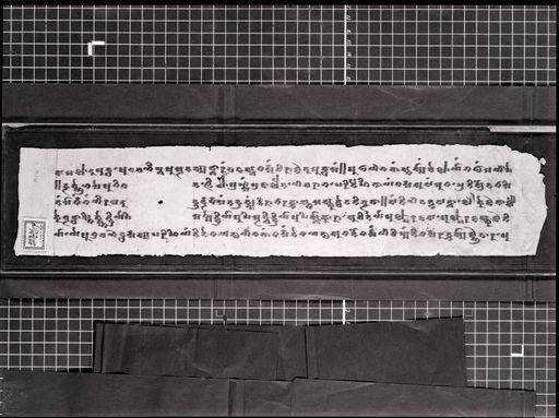 C 131: Kanon und Sūtra des Catuṣpariṣad, verso