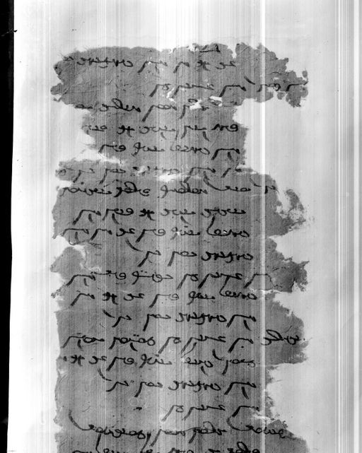 C 45_ 2: Mongolische Handschrift (?)