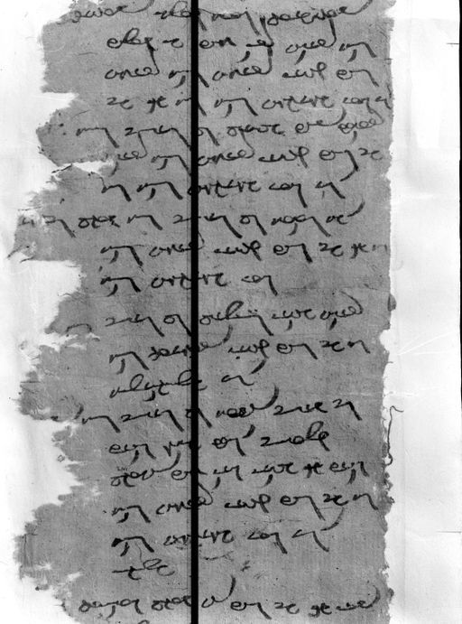 C 45_ 3: Mongolische Handschrift (?)