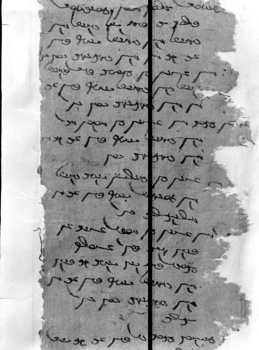 C45_3: Mongolische Handschrift (?) (C_45_3_HS_2_flipped.jpg)