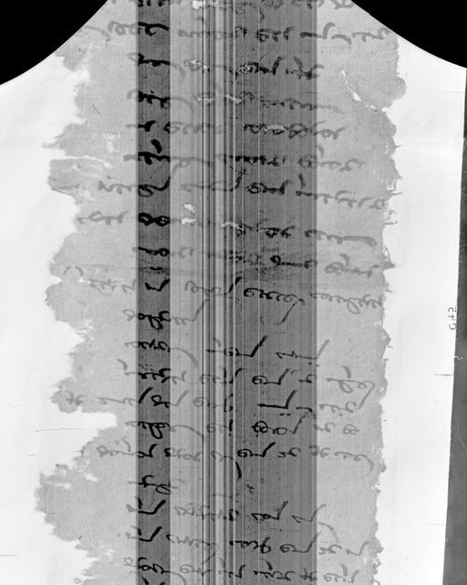 C45_4: Mongolische Handschrift (?) (C_45_4_HS_4.jpg)