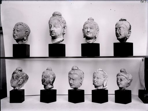 C 67: Neun Gandhāra-Köpfchen Sammlung Malraux