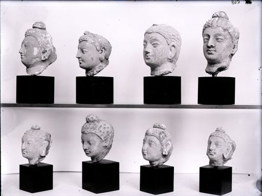 C 68: Acht Gandhāra-Köpfchen Sammlung Malraux