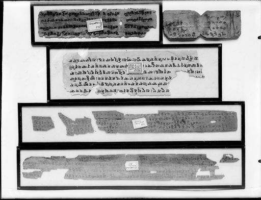 C 82: Fünf einzeln gerahmte Handschriftenblätter in Brāhmī-Schrift: 2 Blätter buddhistischer Dramen (800 und 801); ein Blatt: Kāvya Jātakamālā 72,13, 73,13 T 848; 2 Teile von Sūtra-Erkärungen 540