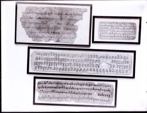C 84: Vier einzeln gerahmte Handschriftenblätter: 1. Tibetisch (falsche Ausrichtung) ; 2. in Brāhmī-Schrift ; 3. (?) (falsche Ausrichtung) ; 4. Tocharisch