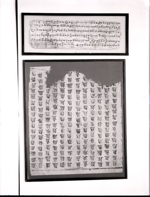 C87: Zwei einzeln gerahmte Handschriftenblätter 1. Xixia (?) ; 2. Brāhmī (T III) (C_87_rotated.jpg)