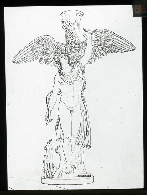 T 338: Vergleichsstück: Ganymed nach Leochares, Vatikan