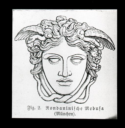 T 360: Vergleichsstück: Roudaninische Medusa, (München)