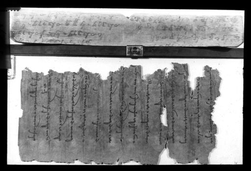 T 391: Einzelnes großes Fragment mit hephthalitischem Text (Toyok) und Palmblatt mit Kharoṣṭhī-Schrift (?)