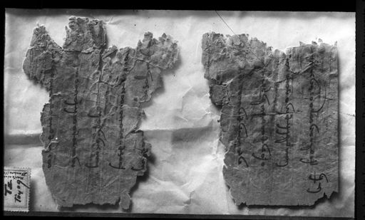 T 392: Zwei Teile einer hephtahlitischen Buchrolle