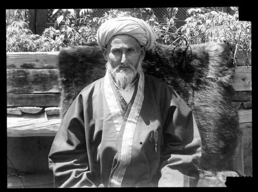 T 50: Khalmät Khan (Aksakal Kucha) Männertyp aus Ferghana ; Brustbild