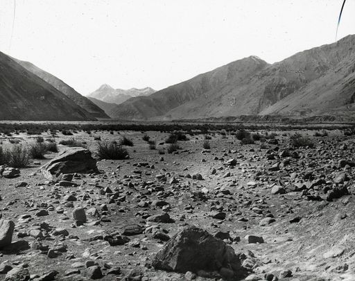 T 582: Auf Le Coqs Rückweg