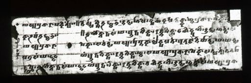 T614: Tocharische Handschrift in Brāhmī-Schrift (T_614.jpg)