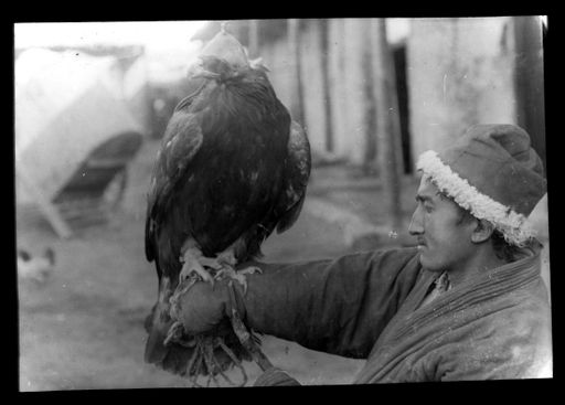 T 630: Falkenier mit Steinadler und Kappe