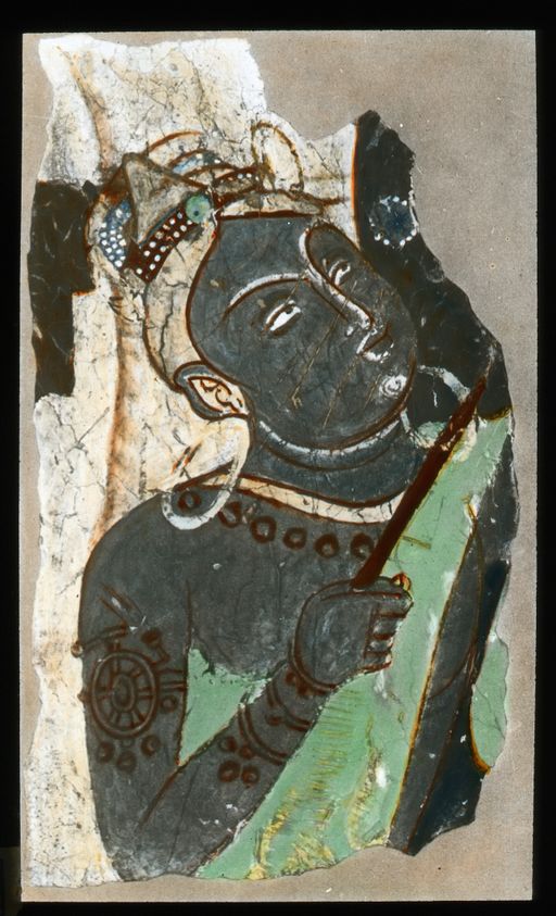 T 660: Coloriertes Dia: Schirmträger oder Wedelträger