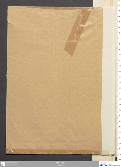 Acta X (Turfan) | (I/MV 1269 0284)