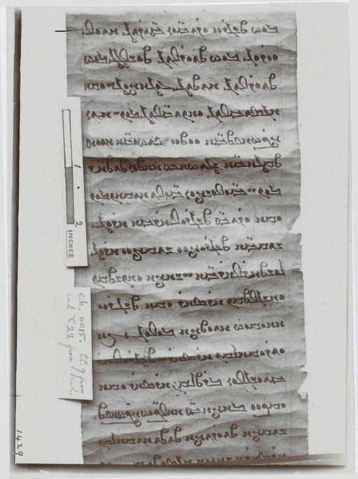 Acta X (Turfan) | (alterScan_TA3035)