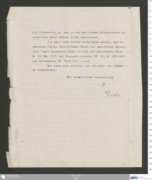 Acta XV (Turfan) | (I/MV 1274 0442)