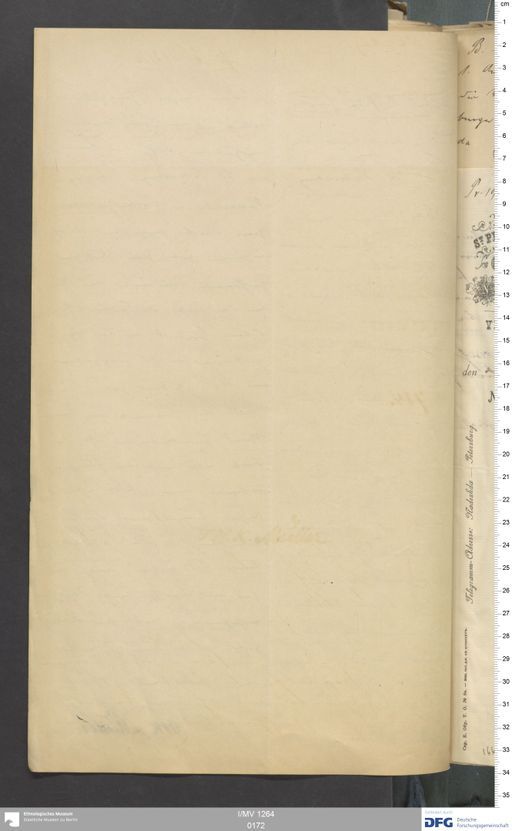 Acta V (Turfan) | (I/MV 1264 0172)