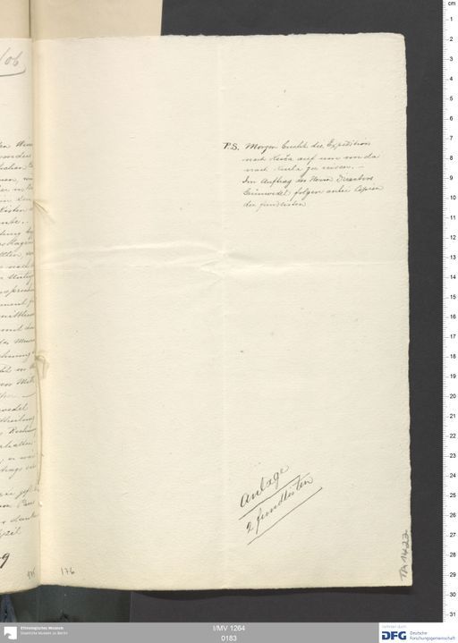 Acta V (Turfan) | (I/MV 1264 0183)