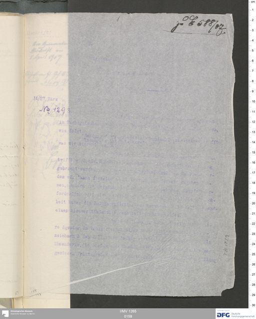 Acta VI (Turfan) | (I/MV 1265 0159)