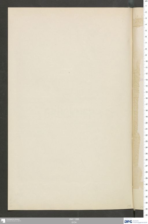 Acta VI (Turfan) | (I/MV 1265 0174)