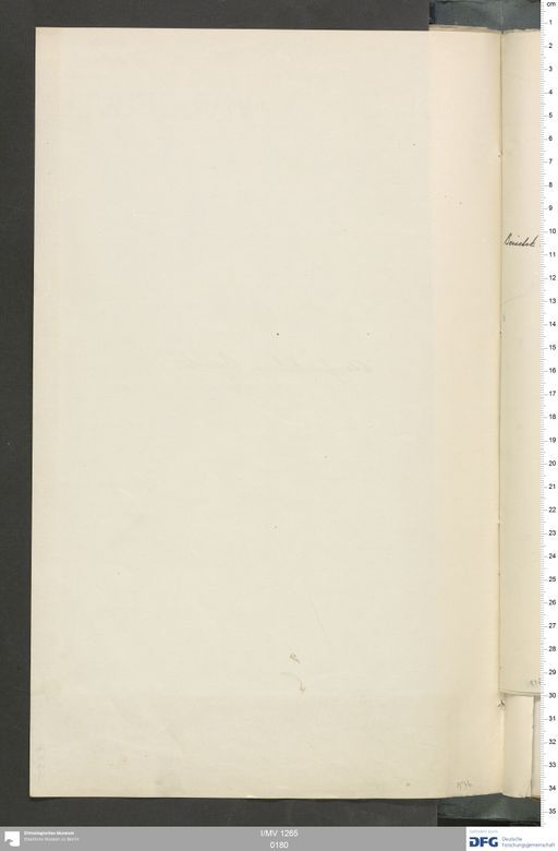 Acta VI (Turfan) | (I/MV 1265 0180)