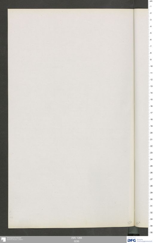 Acta VI (Turfan) | (I/MV 1265 0230)