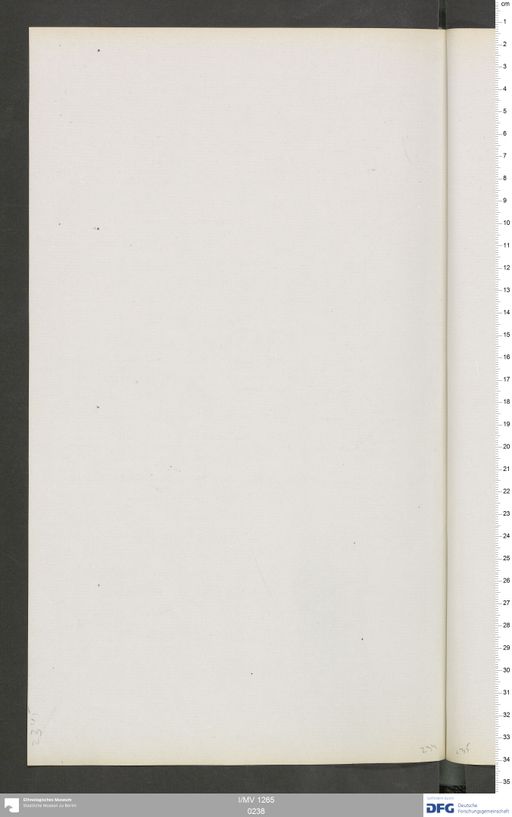 Acta VI (Turfan) | (I/MV 1265 0238)