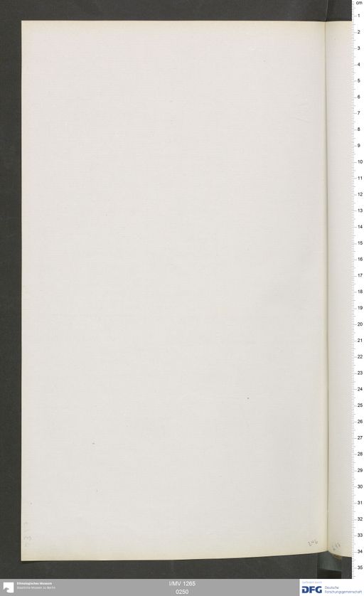 Acta VI (Turfan) | (I/MV 1265 0250)