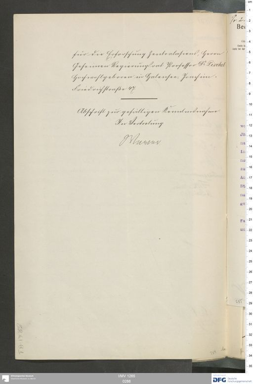 Acta VI (Turfan) | (I/MV 1265 0288)