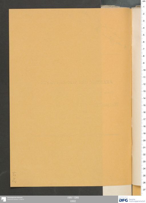 Acta VI (Turfan) | (I/MV 1265 0302)