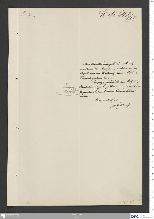 Acta VIII (Turfan) | (I/MV 1267 0087)