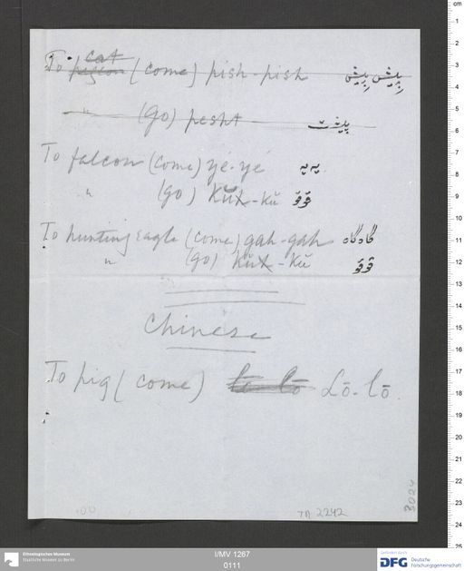 Acta VIII (Turfan) | (I/MV 1267 0111)