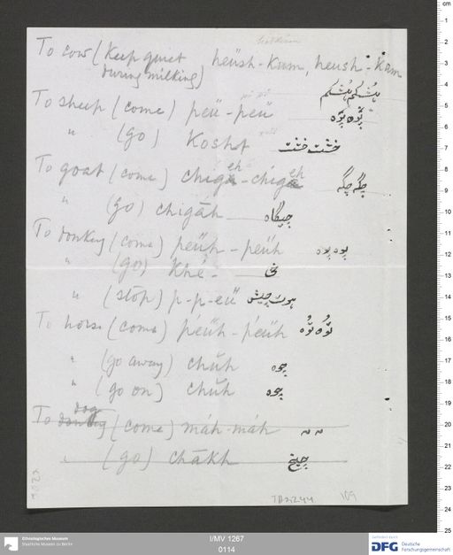 Acta VIII (Turfan) | (I/MV 1267 0114)