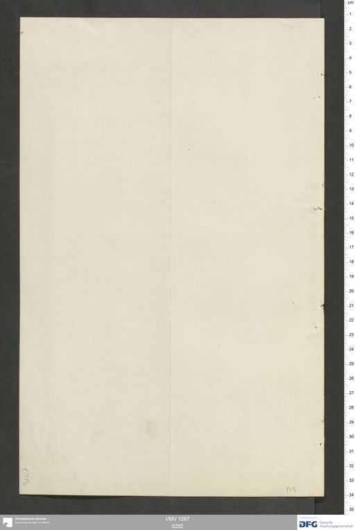 Acta VIII (Turfan) | (I/MV 1267 0202)